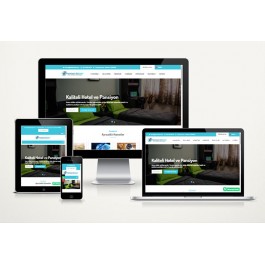 Pansiyon Hotel Web Paketi Zeyn v5.0